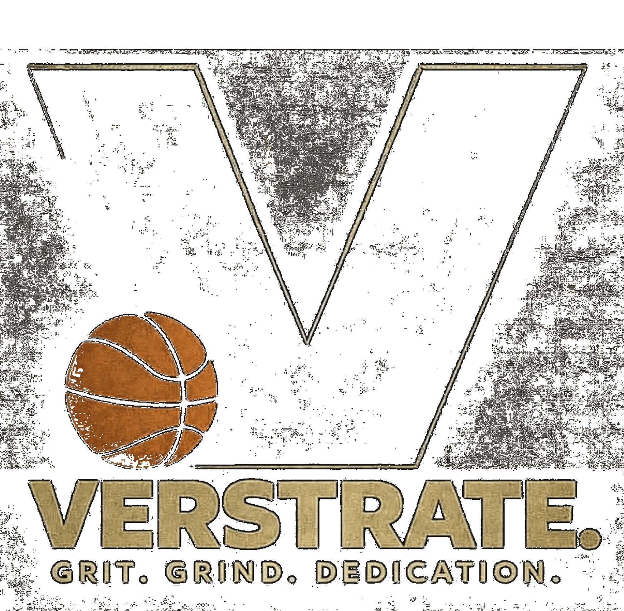 VerStrate Training | undefined Logo